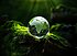 Kleine gläserne Weltkugel liegt auf grünem Waldboden