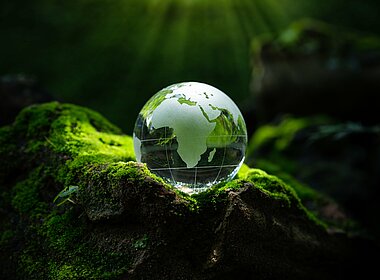 Kleine gläserne Weltkugel liegt auf grünem Waldboden